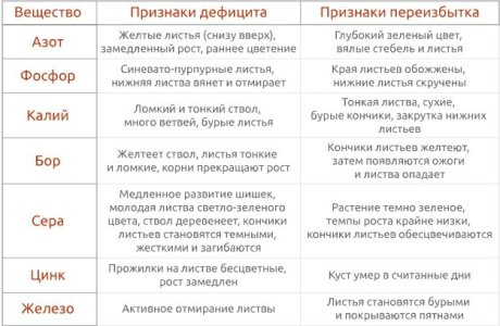 Признаки дефицита и переизбытка питательных веществ