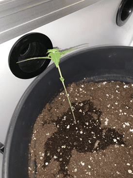 1598643573146.png 1598643573146.png