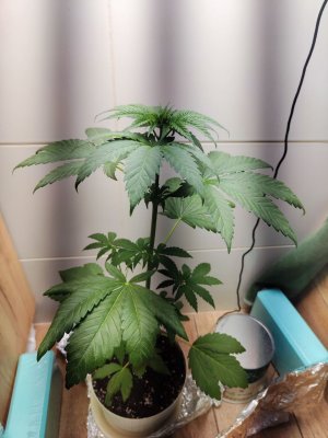 photo_2024-11-22_11-58-01 (2).jpg