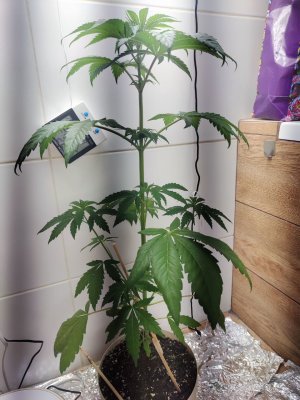 photo_2024-11-25_12-06-47 (5).jpg