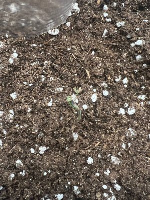 photo_2025-01-22_14-16-44 (1).jpg