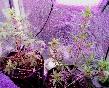 2024-01-15 15-16-48.JPG