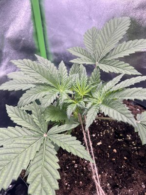 IMG_6205.jpeg IMG_6205.jpeg