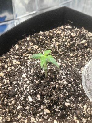 photo_2025-04-02_10-52-18 (2).jpg