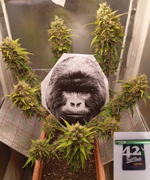 сутки (70-1).jpg