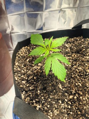 photo_2025-04-09_07-07-31 (2).jpg