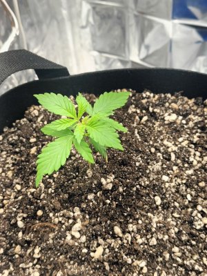 photo_2025-04-09_07-07-31 (3).jpg