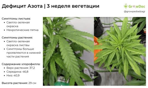 деф азота 3 ед веги.png