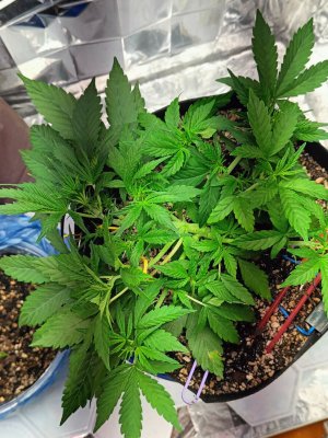 photo_2025-04-24_06-48-18 (2).jpg