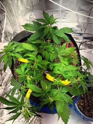 photo_2025-04-26_16-21-40 (3).jpg