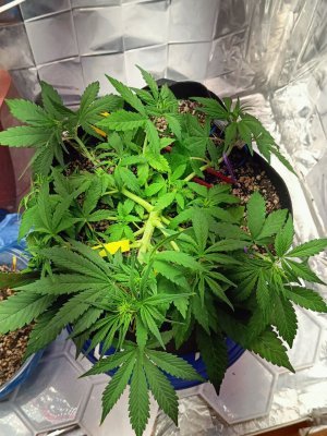 photo_2025-04-26_16-21-40 (4).jpg