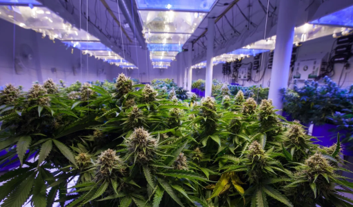 Снимок экрана 2025-04-30 153416.png