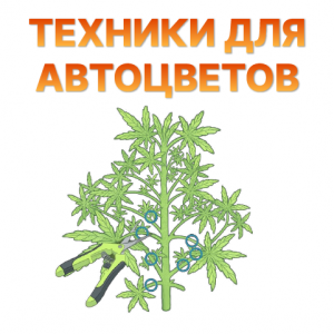 Tekhniki dlya avtocvetov.png