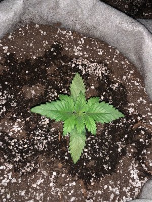 WhatsApp Image 2022-04-07 at 17.31.53 (1).jpeg