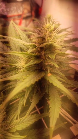 2025-05-15 094323.jpg