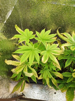 photo_2025-06-01 10.54.08.jpeg