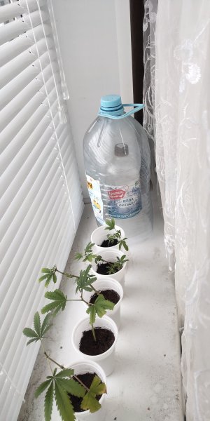 P50603-200852 (1).jpg