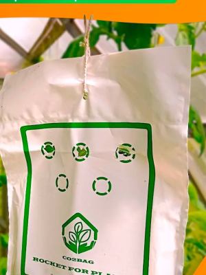 Без названия.png