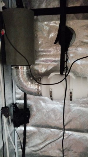 Без имени 2.jpg