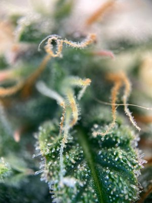 photo_2025-06-16_13-59-34 (2).jpg