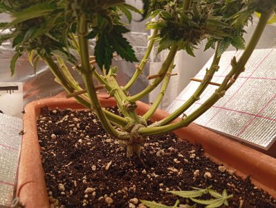 1000018502.jpg 1000018502.jpg