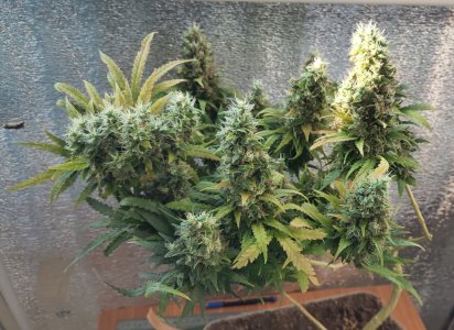 P50618-191330(1) (1).jpg