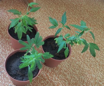 P50626-184550(1) (1).jpg