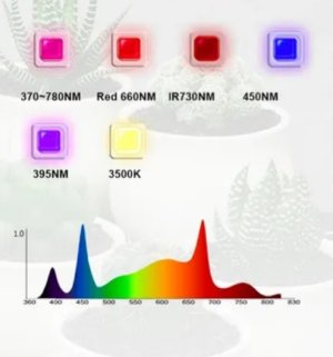 S50726-09094678.jpg S50726-09094678.jpg