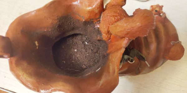 P50731-232215 (1).jpg