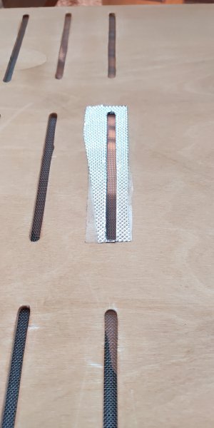 P50801-193929 (1).jpg