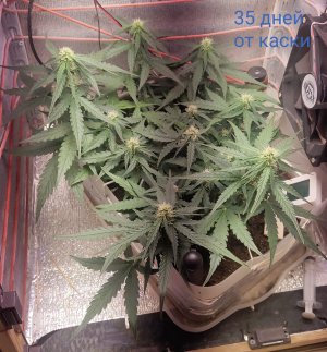 P50804-062023 (1)(1)(1).jpg