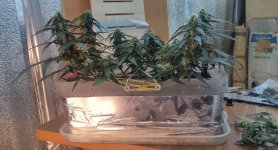 P50808-171546 (1)(2).jpg