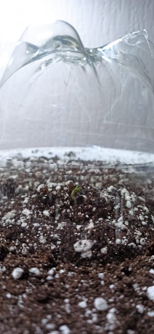 WhatsApp Image 2022-04-25 at 20.22.56.jpeg