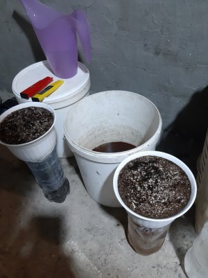 20220428_093442.jpg 20220428_093442.jpg