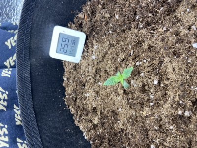 9B4A16CA-3C35-42A4-B3DB-B9CF8C29AC8E.jpeg 9B4A16CA-3C35-42A4-B3DB-B9CF8C29AC8E.jpeg