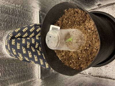 CEB52543-6F48-4CAF-9255-D6279BC2C571.jpeg CEB52543-6F48-4CAF-9255-D6279BC2C571.jpeg