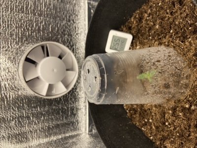 4D96D950-EBEF-4A13-8BE4-EA038B94C524.jpeg 4D96D950-EBEF-4A13-8BE4-EA038B94C524.jpeg