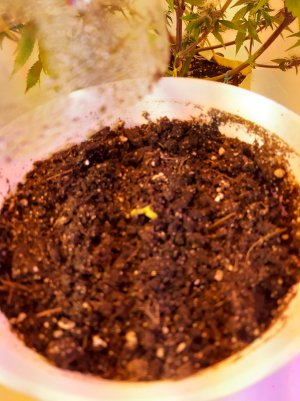 20220507_100211.jpg 20220507_100211.jpg