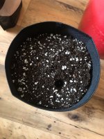 07.06.25 (7) — копия.jpg