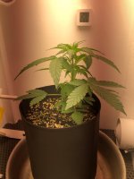 02.07.25 — копия.jpg