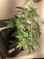 09.07.25 — копия.jpg