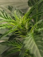 10.07.25 — копия.jpg