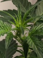 10.07.25 (2) — копия.jpg