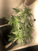 10.07.25 (4) — копия.jpg