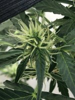 19.07.25 (2) — копия.jpg