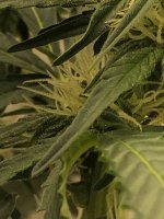 19.07.25 (3) — копия.jpg