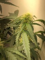 20.07.25 (4) — копия.jpg