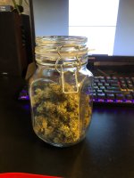 14.08.25 ИТОГ (3).jpg