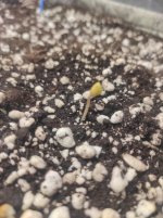 photo_2025-08-21_11-01-38 (2).jpg