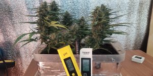 P50821-184816 (1).jpg